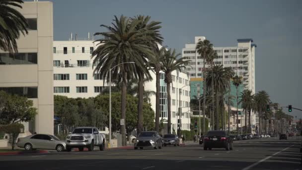 Autók Vezetés Egy Utcán Santa Monica — Stock videók