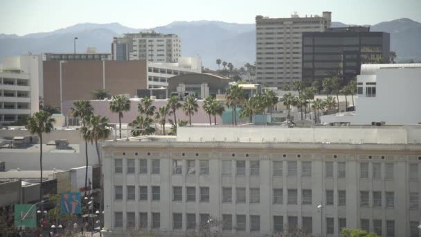 Buildings Palm Trees — Stock Video