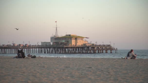 Cais Santa Monica — Vídeo de Stock