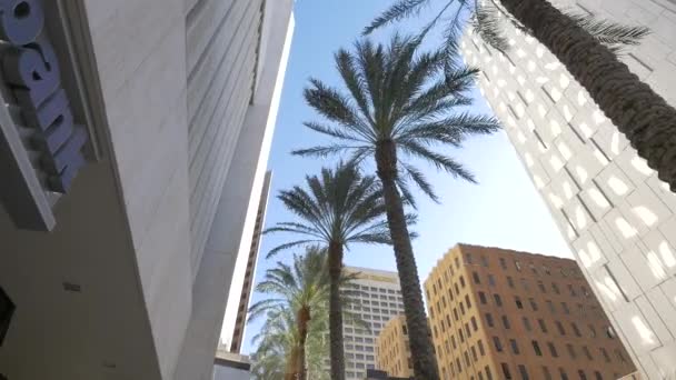 北一大道的摩天大楼和棕榈树 — 图库视频影像