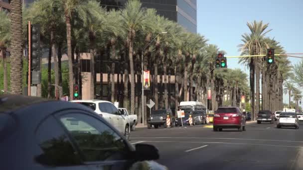 Autofahren Auf Einer Straße Mit Palmen Vereinigte Staaten Von Amerika — Stockvideo