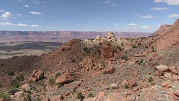 Vue Aérienne Des Collines Arides — Video