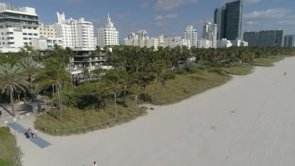 アメリカ合衆国マイアミビーチとヤシの木の空中写真 — ストック動画