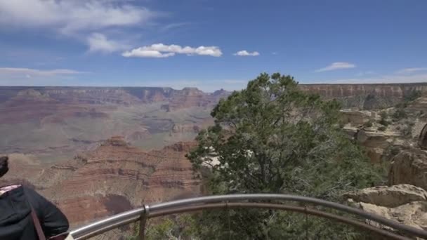 Turisták Grand Canyonban — Stock videók