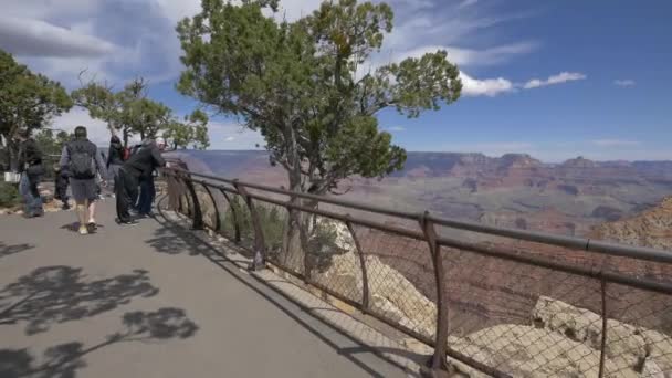 Mensen Het Observatiepunt Grand Canyon — Stockvideo