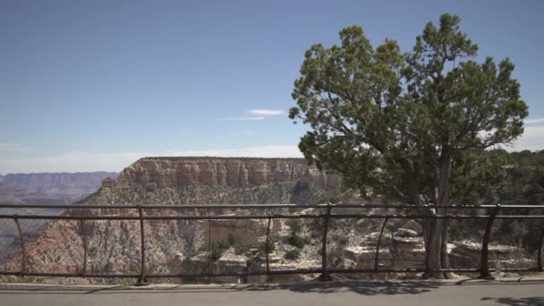 Visita Grand Canyon — Video Stock