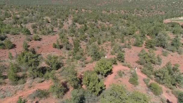 Vista Aérea Del Valle Sedona Con Árboles Verdes — Vídeo de stock