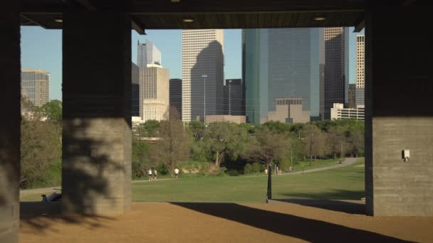 Towers Skyscrapers Seen Park — Stock Video