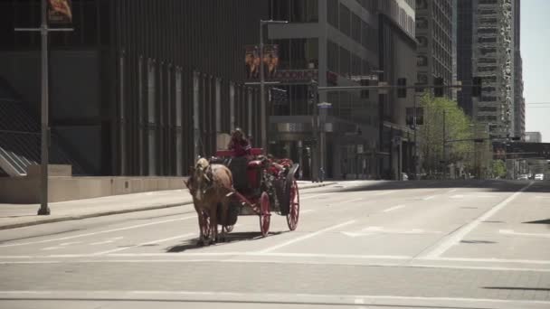 Pferdekutsche Auf Der Straße Vereinigte Staaten Von Amerika — Stockvideo