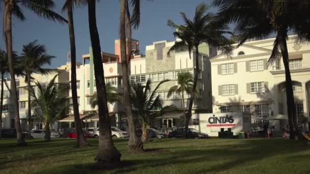 Palm Trees Park Buildings Street United States America — Stock Video