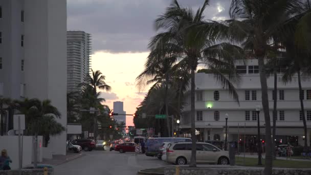 Crowded Street Evening United States America — Stock Video