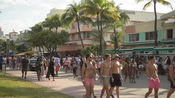 Miami Beach Kalabalık Bir Cadde Amerika Birleşik Devletleri — Stok video