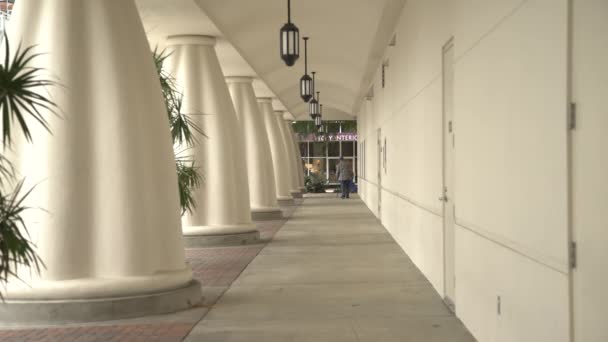 Colonne Della Biblioteca Pubblica Selby Sarasota — Video Stock