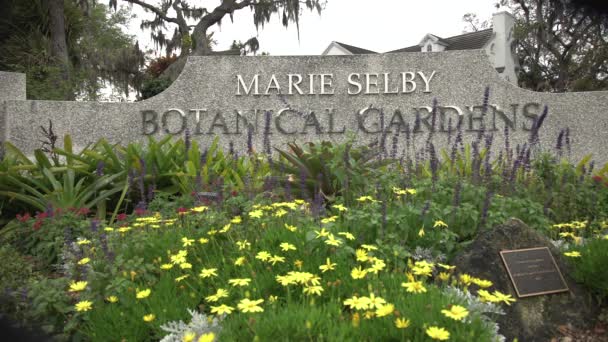 Maria Selby Orto Botanico Segno — Video Stock