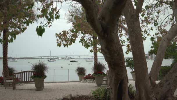 Baía Sarasota Com Barcos — Vídeo de Stock