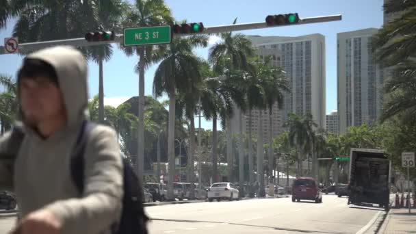 Belebte Straße Miami — Stockvideo