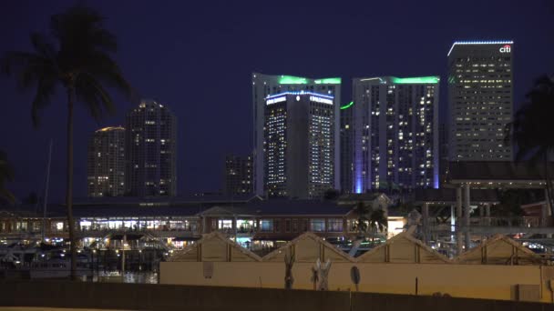 Miami Natten Förenta Staterna — Stockvideo