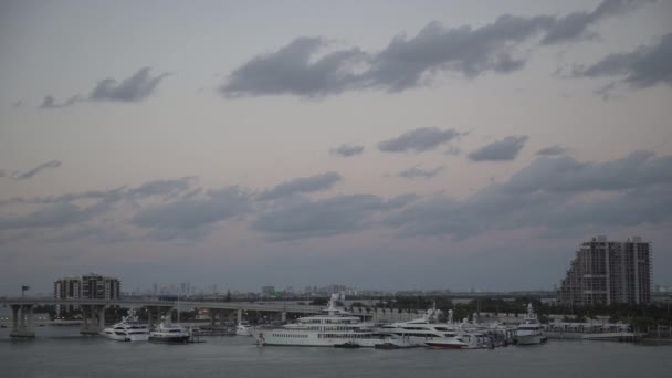 Yachts Buildings Miami — ストック動画