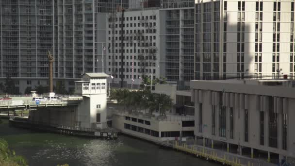 Здания Возле Реки Майами — стоковое видео