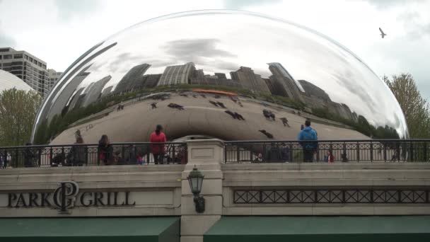 Tourists Admiring Bean United States America — Stock Video