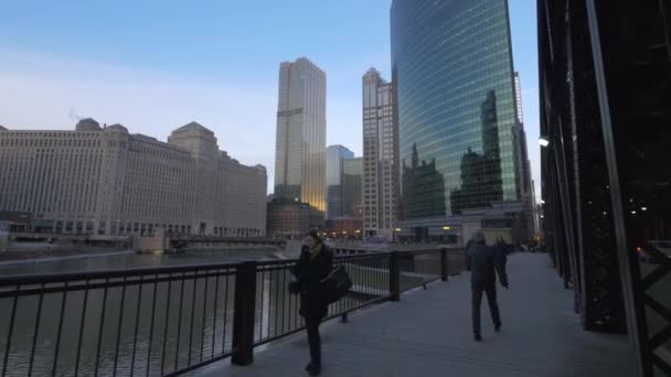 Nad Brzegiem Rzeki Chicago Stany Zjednoczone Ameryki — Wideo stockowe