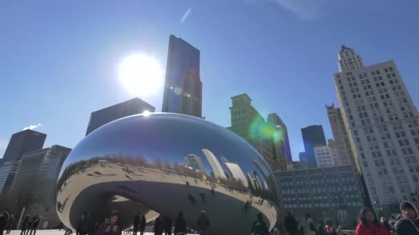 Bean Chicago Estados Unidos América — Vídeo de Stock