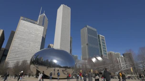 Turistas Admirando Bean Chicago Estados Unidos América — Vídeo de Stock