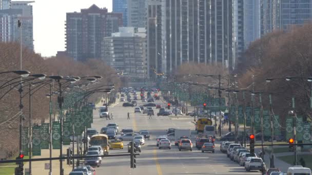 Zatłoczony Bulwar Chicago Stany Zjednoczone Ameryki — Wideo stockowe