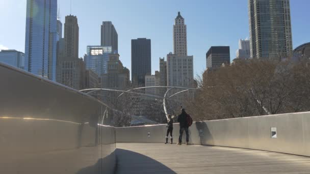 Toeristen Bridge Chicago Verenigde Staten — Stockvideo