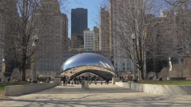 Бин Millennium Park Чикаго — стоковое видео