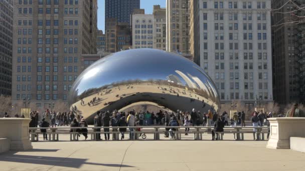 Bean Chicago Соединенные Штаты Америки — стоковое видео