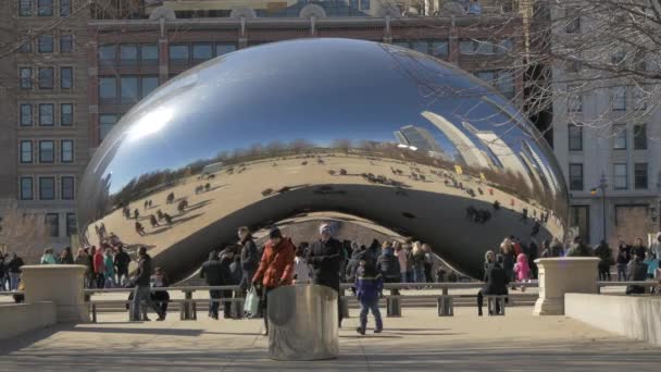 Turistas Admirando Bean Chicago Estados Unidos América — Vídeo de Stock