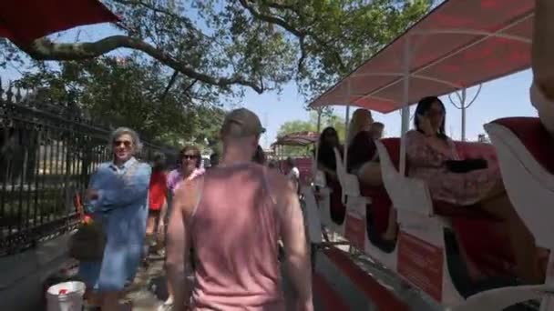 Tourists Walking Horse Carriages — Stock Video