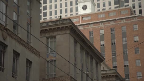 Будинки Далласі Сполучені Штати Америки — стокове відео