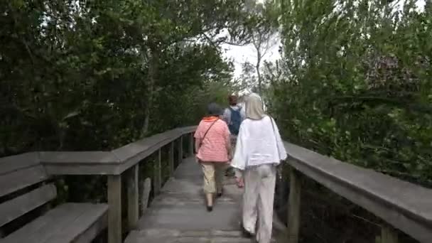 Pessoas Caminhando Uma Passarela Madeira Floresta — Vídeo de Stock