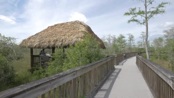 Thatched Terraço Telhado Natureza — Vídeo de Stock