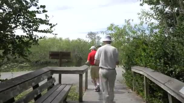 Personas Everglades Park Florida — Vídeo de stock