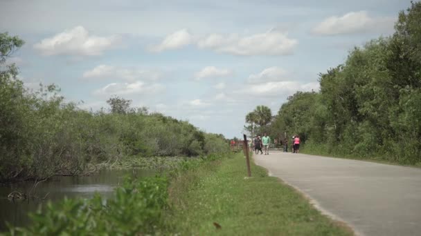 Turisták Everglades Park Florida — Stock videók
