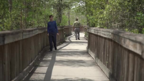 Spaziergänger Auf Einem Holzsteg Wald — Stockvideo