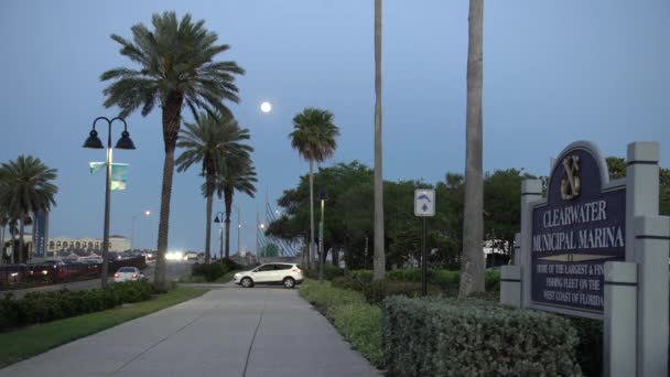 夕方の公園内の路地 — ストック動画