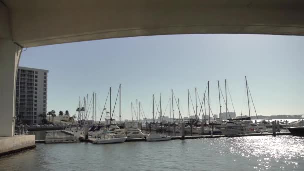 Barche Ancorate Nel Porto Clearwater — Video Stock