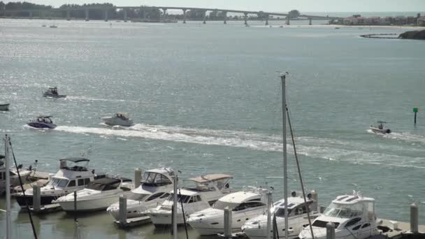 Barcos Ancorados Num Porto Outros Barcos Vela — Vídeo de Stock