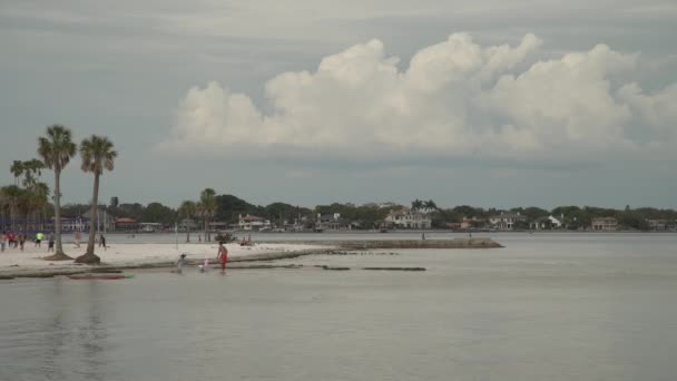 Mensen Het Strand — Stockvideo