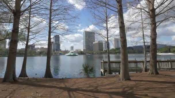 Lago Eola Visto Através Troncos Árvores — Vídeo de Stock