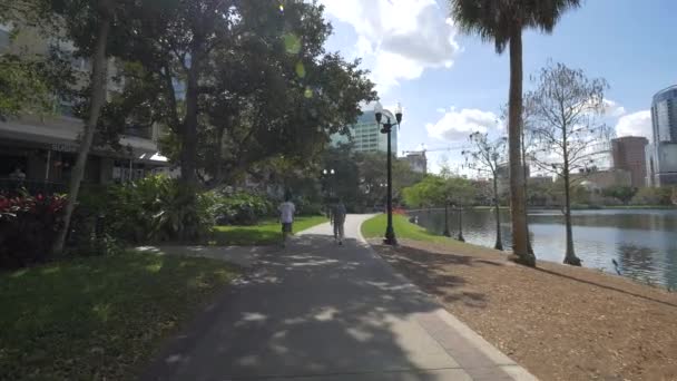 Beco Longo Lago Parque — Vídeo de Stock