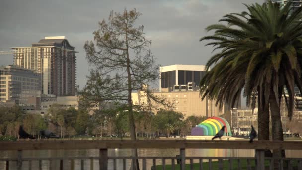 Gebouwen Het Meer Van Eola — Stockvideo