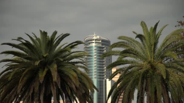 Torre Aspire Entre Palmeiras — Vídeo de Stock