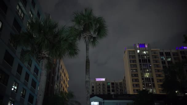 Low Angle Palm Trees Buildings Tops — Stock Video