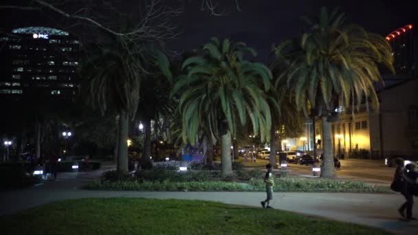 Palmbomen Een Steegje Een Park Nachts — Stockvideo