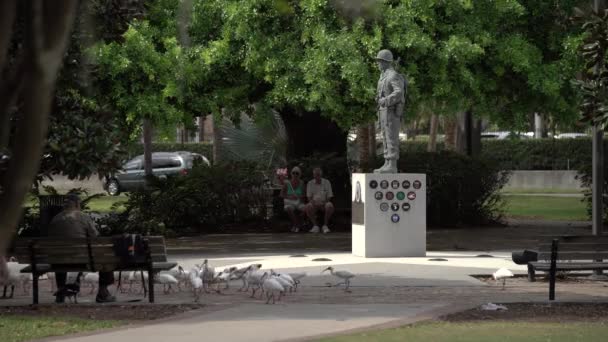 公园里士兵的雕像 — 图库视频影像